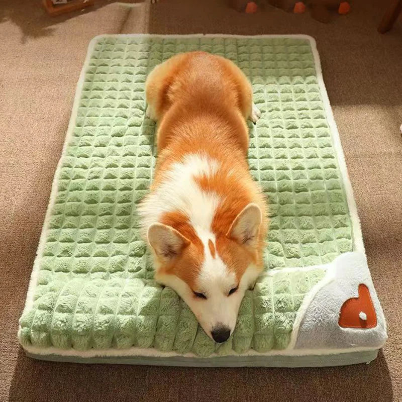 The plaid dream bed for your furry friend.