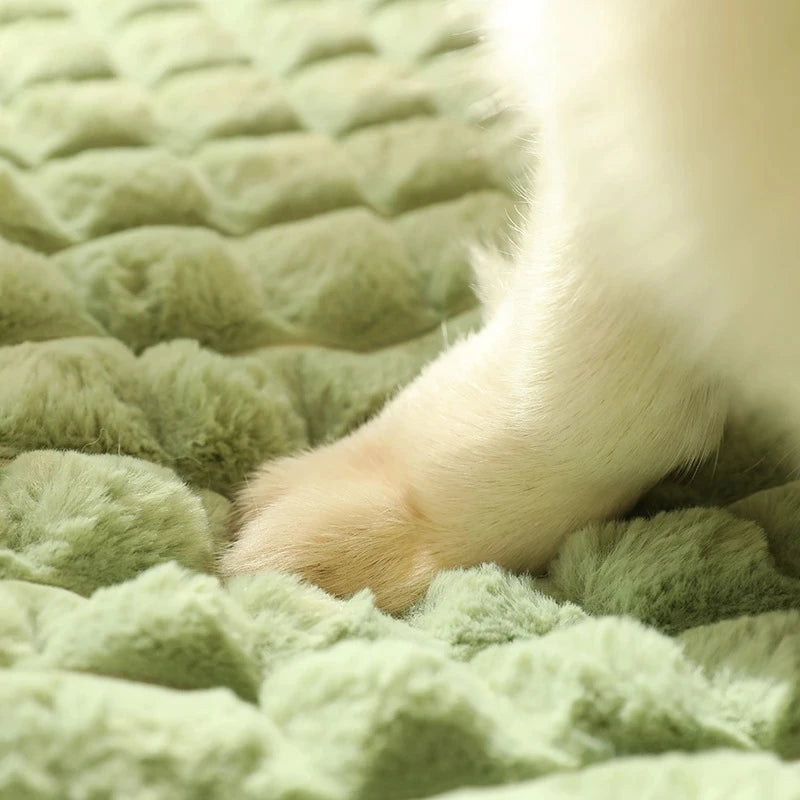 The plaid dream bed for your furry friend.
